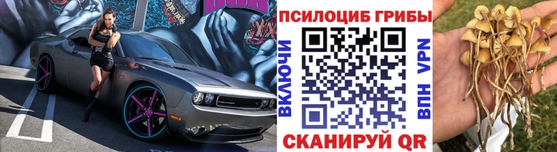Псилоцибиновые грибы прущие грибы  Козловка 